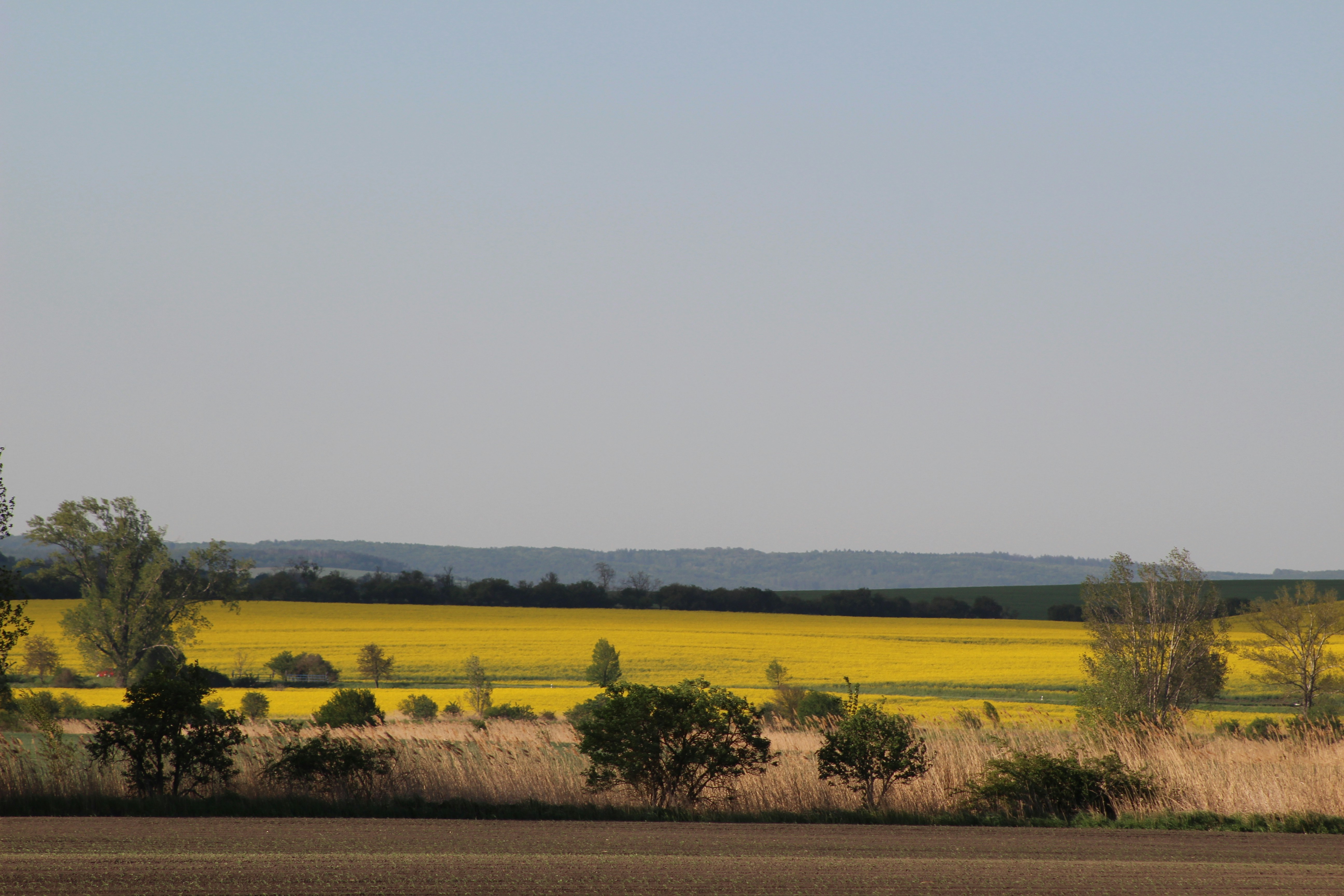 Photo by marjorylucabaxter