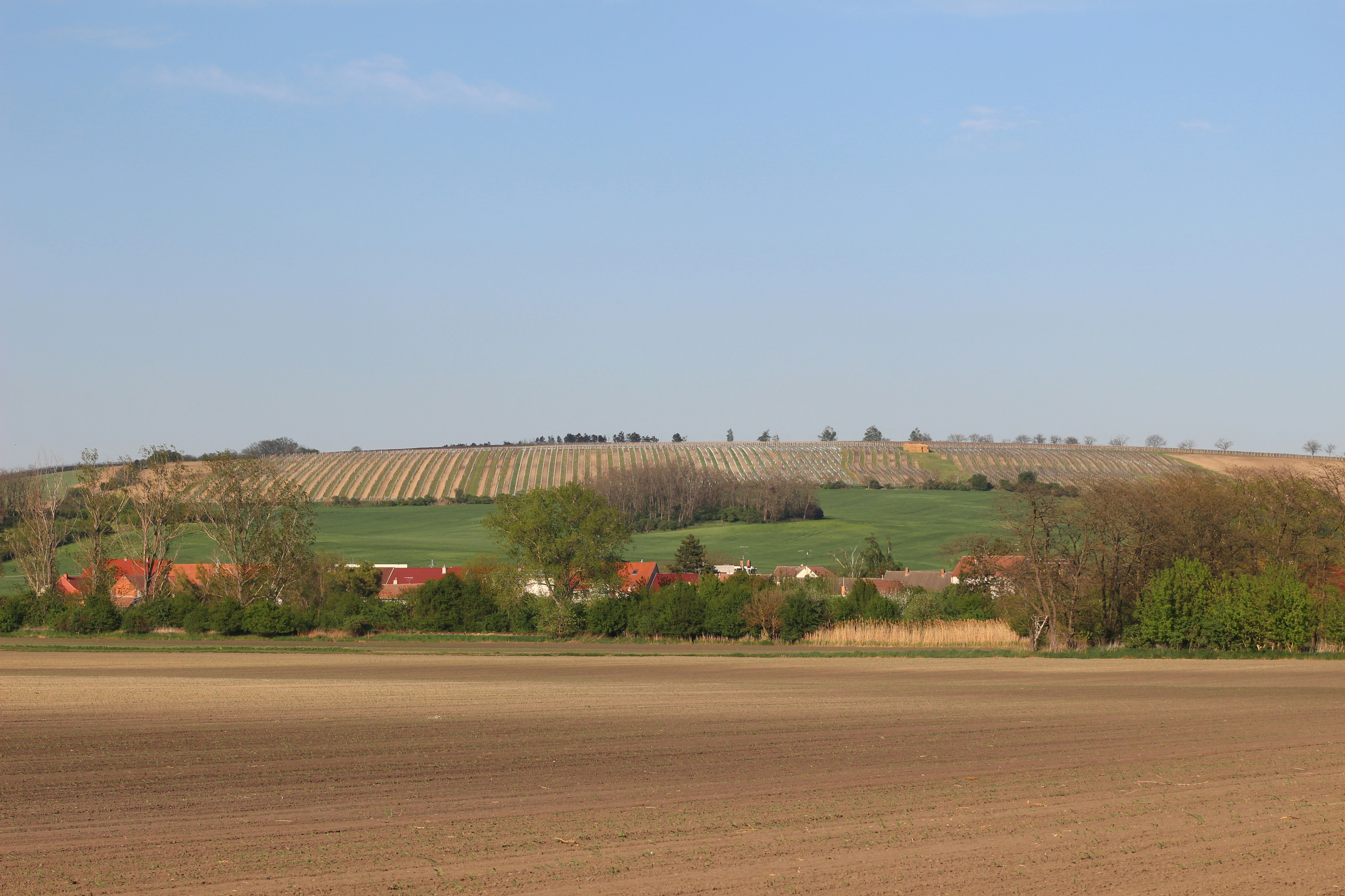 Scenic Minnesota rural landscape with open fields and clear sky, representing the Belle Plaine community and agricultural surroundings