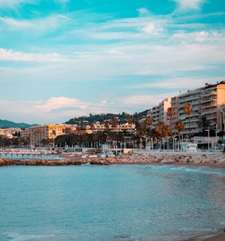 city buildings near body of water under blue sky during daytime