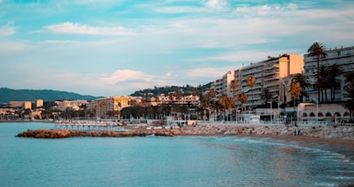 city buildings near body of water under blue sky during daytime