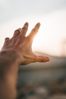 persons left hand on white background
