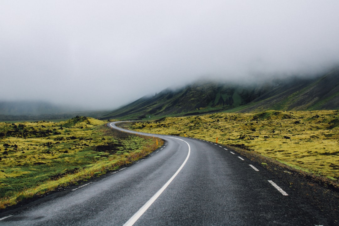 gray concrete road between green grass field