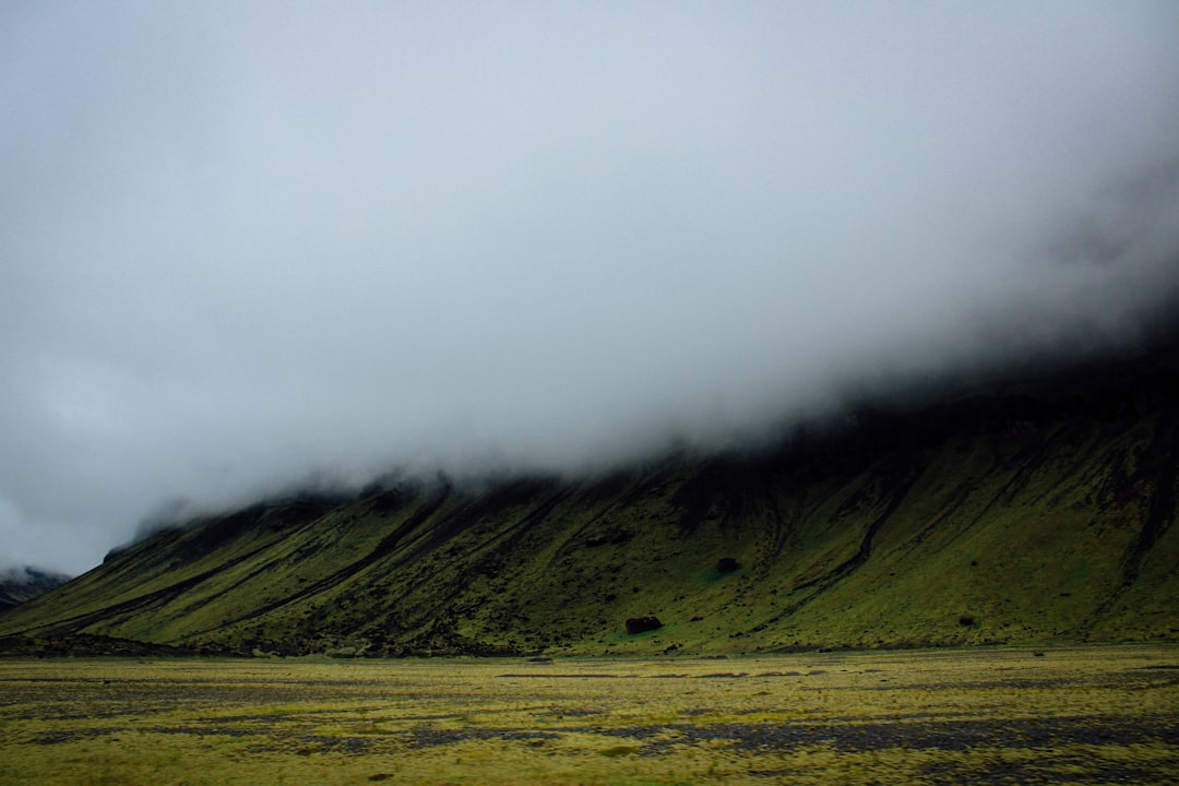 green grass field under white clouds