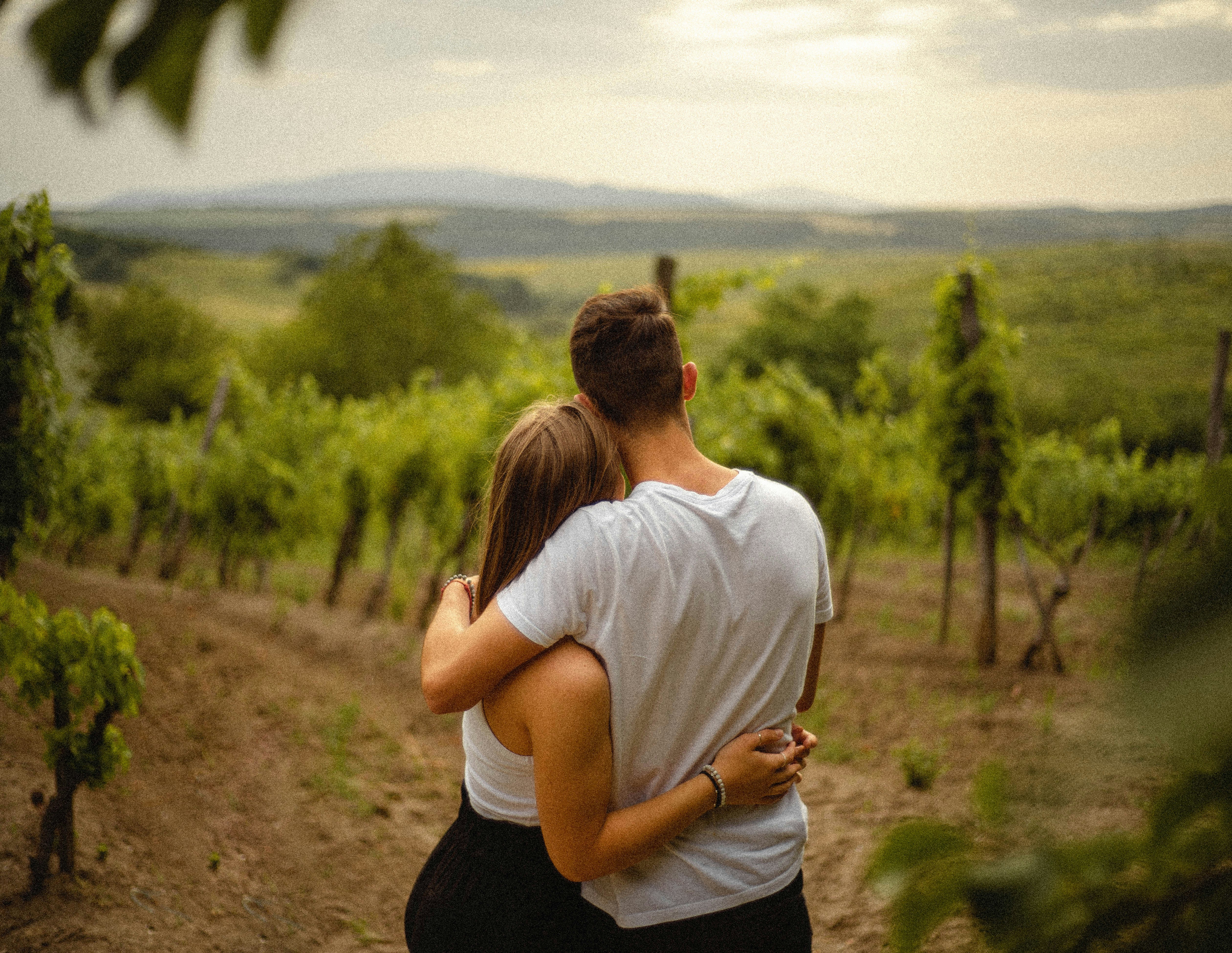 Romantic embrace, soft bokeh vineyard background