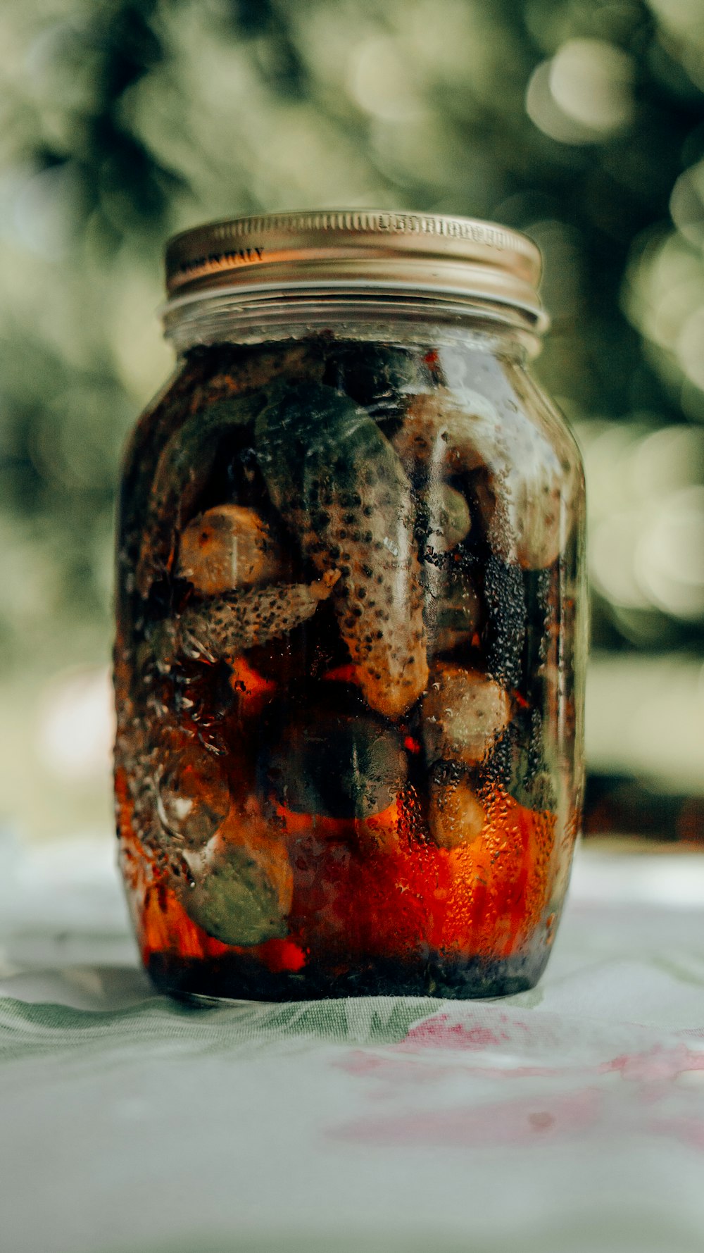 brown and black frog on clear glass jar