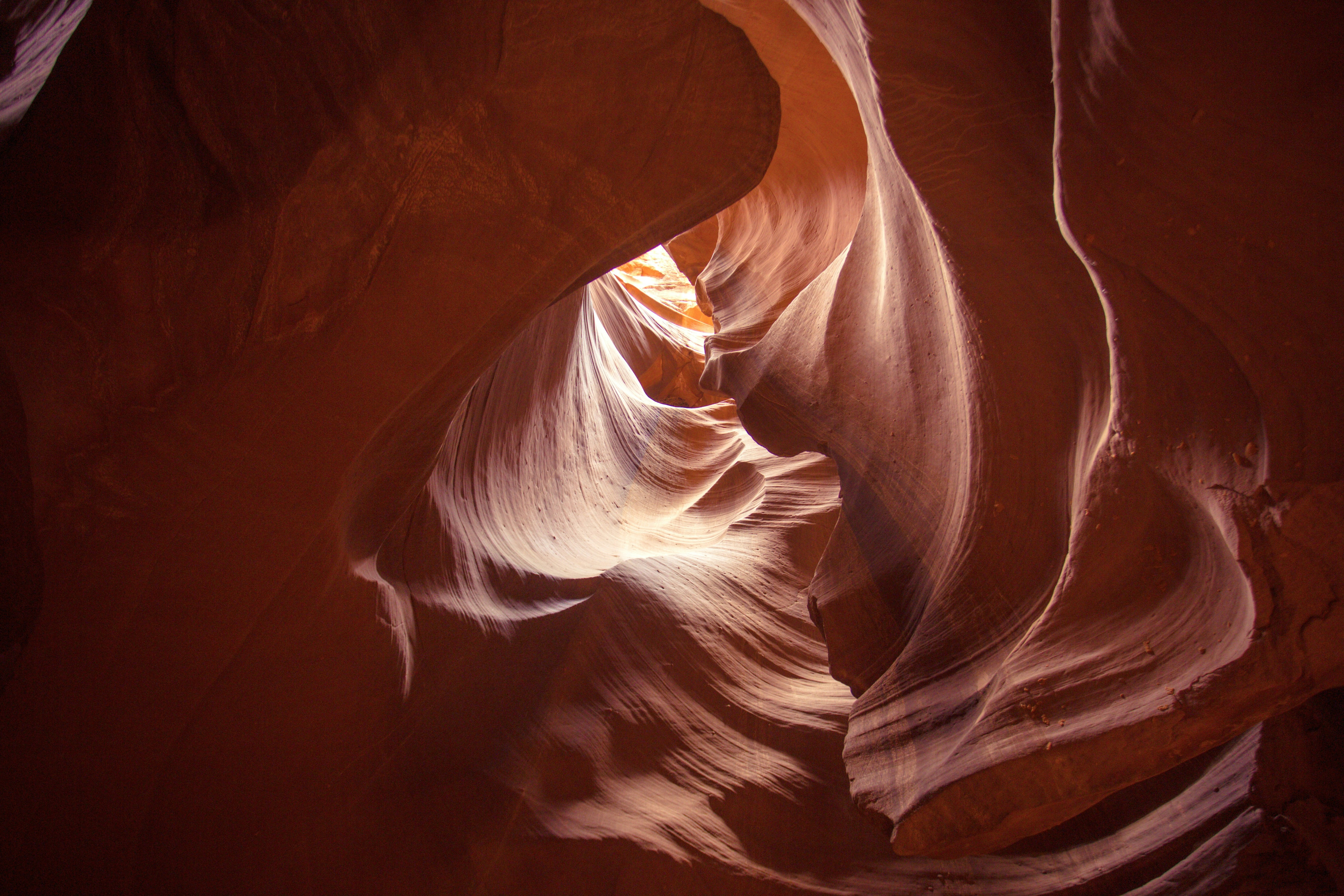 美容鍼灸がクマを改善！？上田市の専門医が明かす秘密の治療法とその驚きの効果
