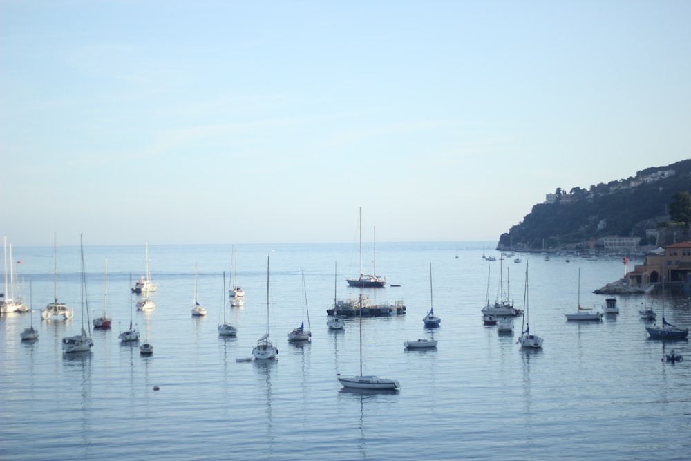 white and black boat on sea during daytime