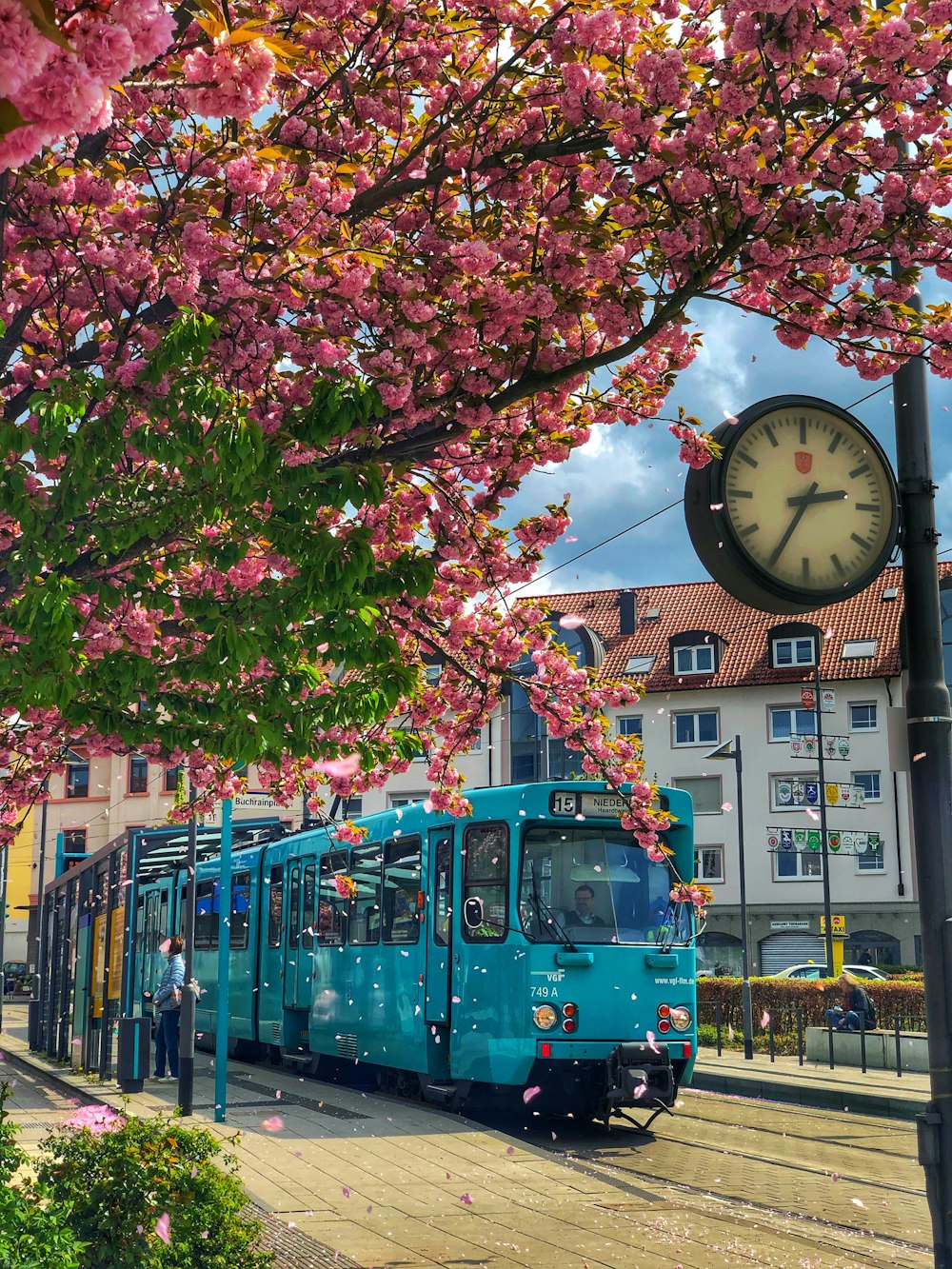 Foto zum Thema Ein Mülleimer mit einer Tasse darin – Kostenloses Bild zu  Frankfurt am Main auf Unsplash