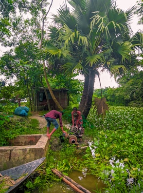 Two men are working with a water pump near a small pond surrounded by lush greenery. A tall palm tree stands prominently in the background, and various plants float on the water's surface. A small structure is visible in the background, and a traditional wooden boat is seen at the edge of the pond.