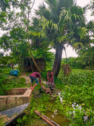 Two men are working with a water pump near a small pond surrounded by lush greenery. A tall palm tree stands prominently in the background, and various plants float on the water's surface. A small structure is visible in the background, and a traditional wooden boat is seen at the edge of the pond.