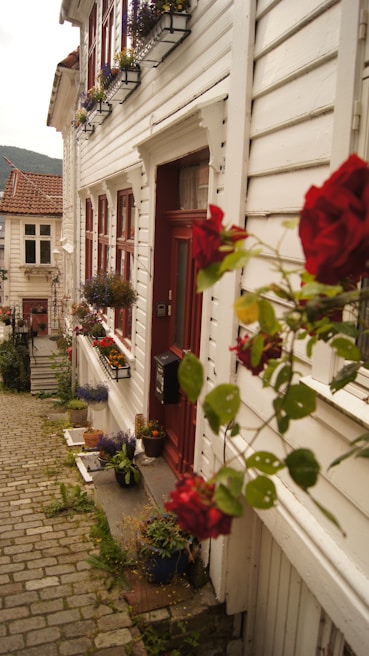 Close-up of a charming cobblestone street lined with colorful houses and blooming flowers in Xanxerê.