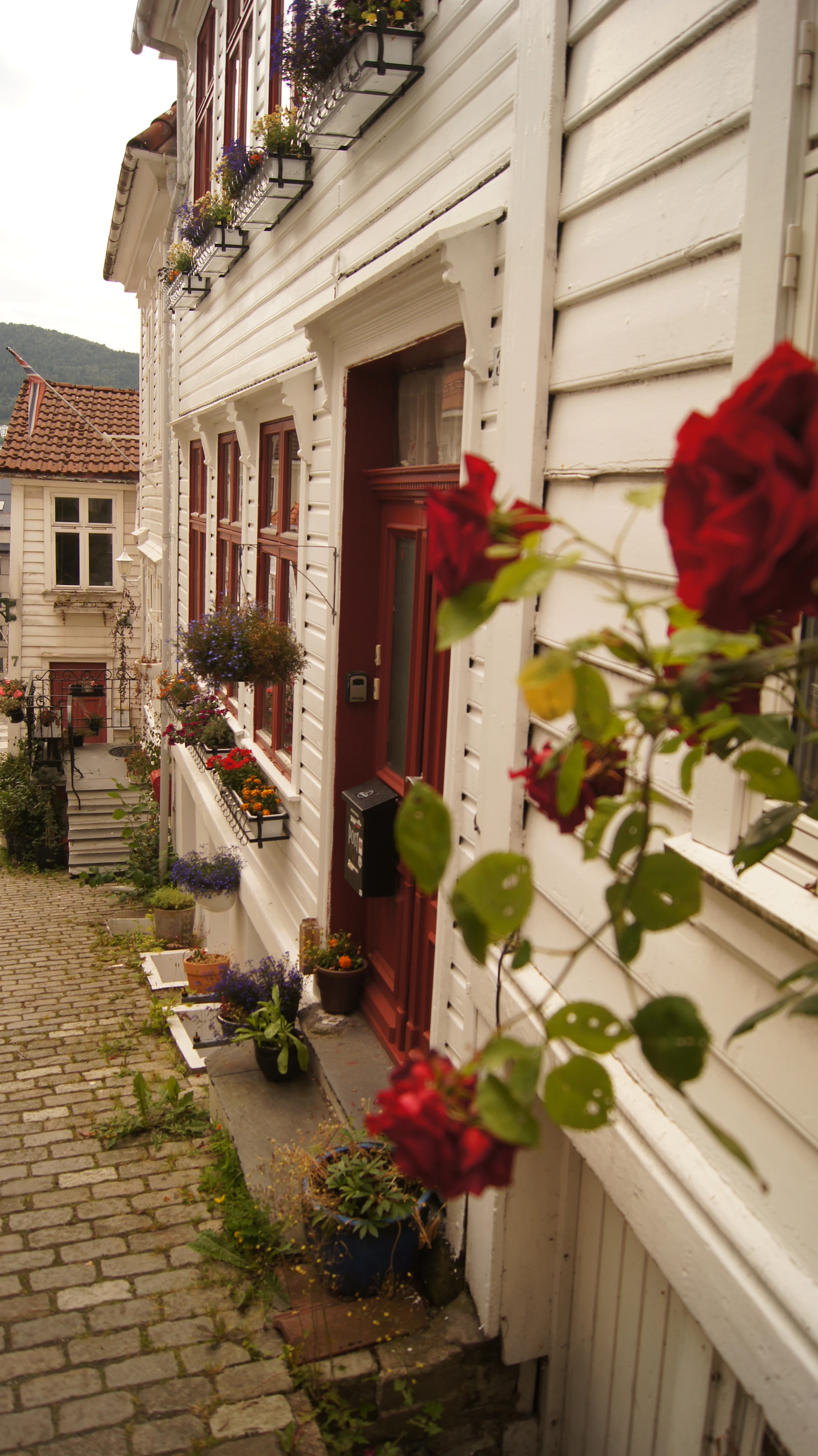 woman wearing yellow long-sleeved dress under white clouds and blue sky during daytime
