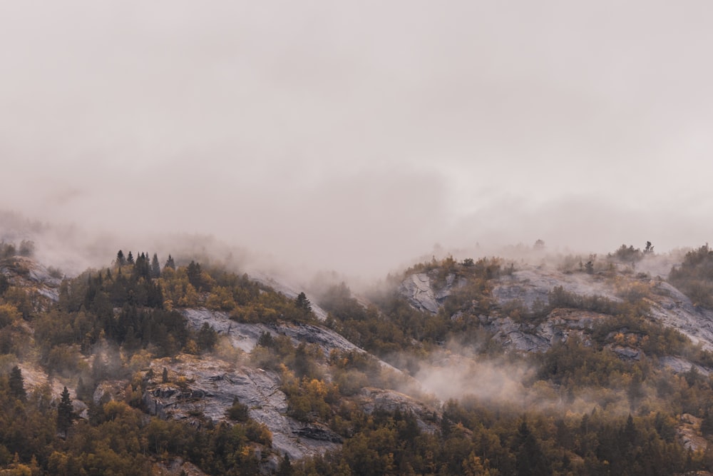 green trees on mountain under white clouds during daytime