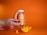 A hand holding a jar labeled 'Turmeric & Ginger Orange Flavor Gummies' against a bright orange background. In the foreground, there is a slice of orange and a gummy, both matching the vibrant hue of the setting.