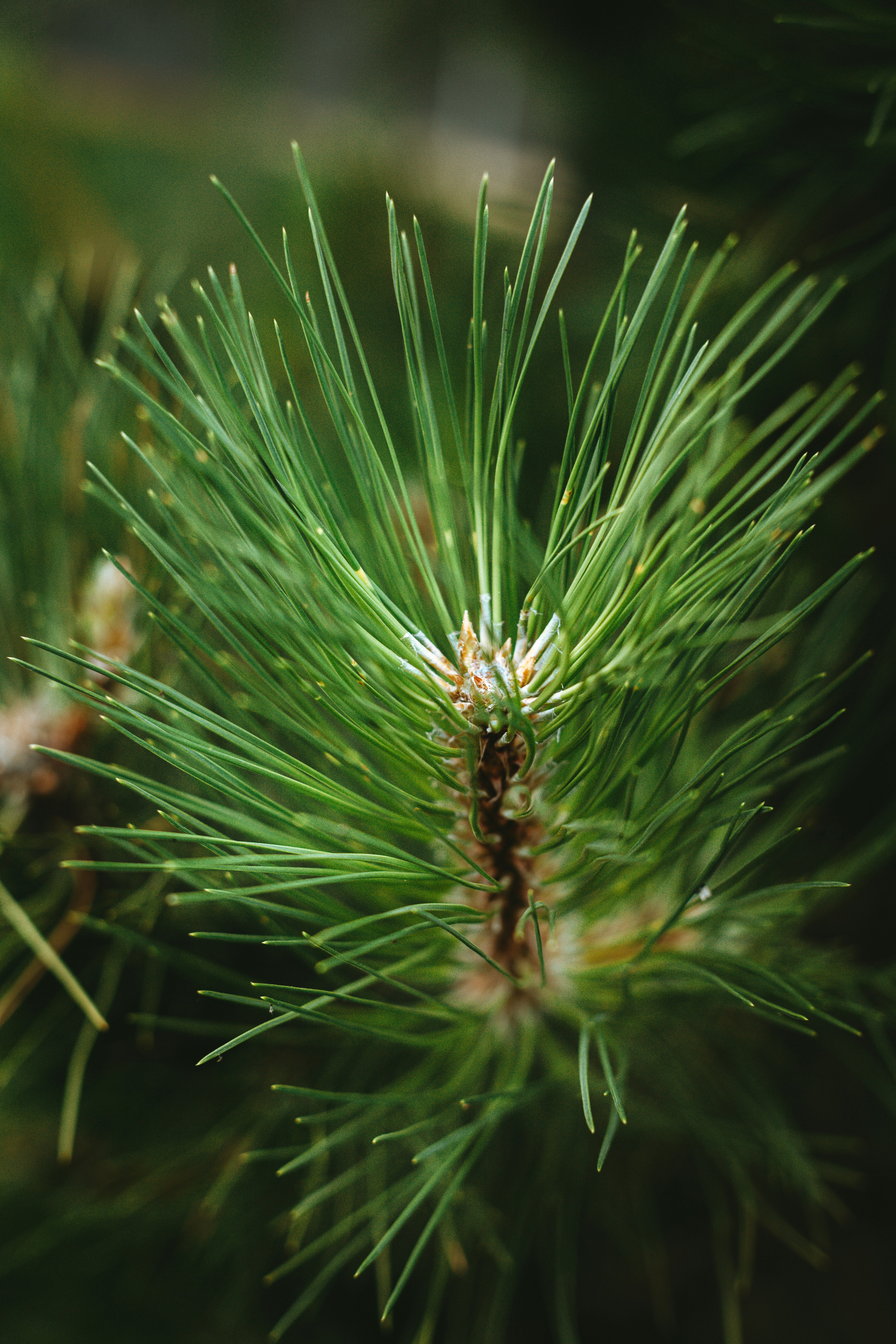 Photo by lizagolyarchuk