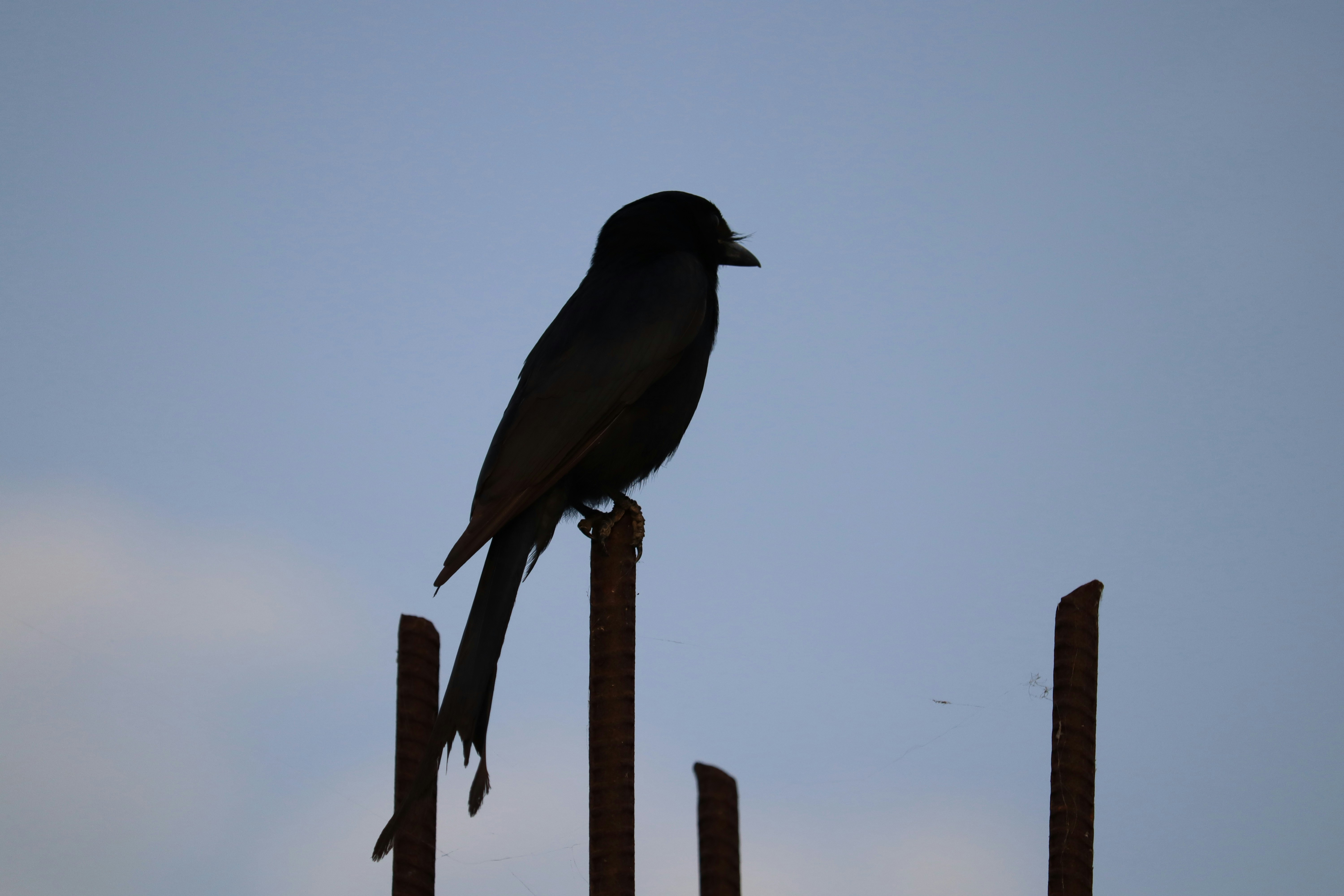 Photo by anyzoystudio