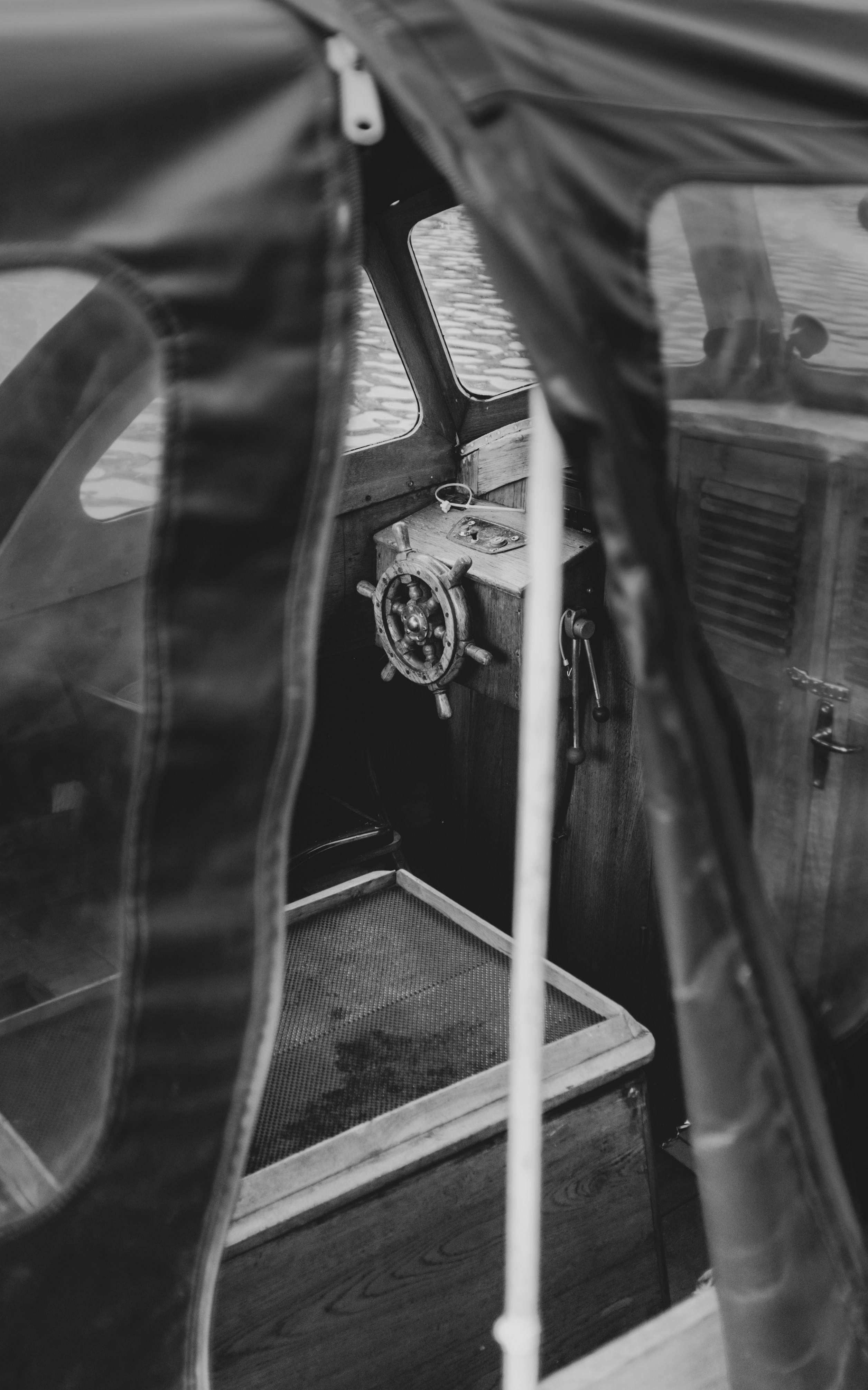 Photo by moisamihai092