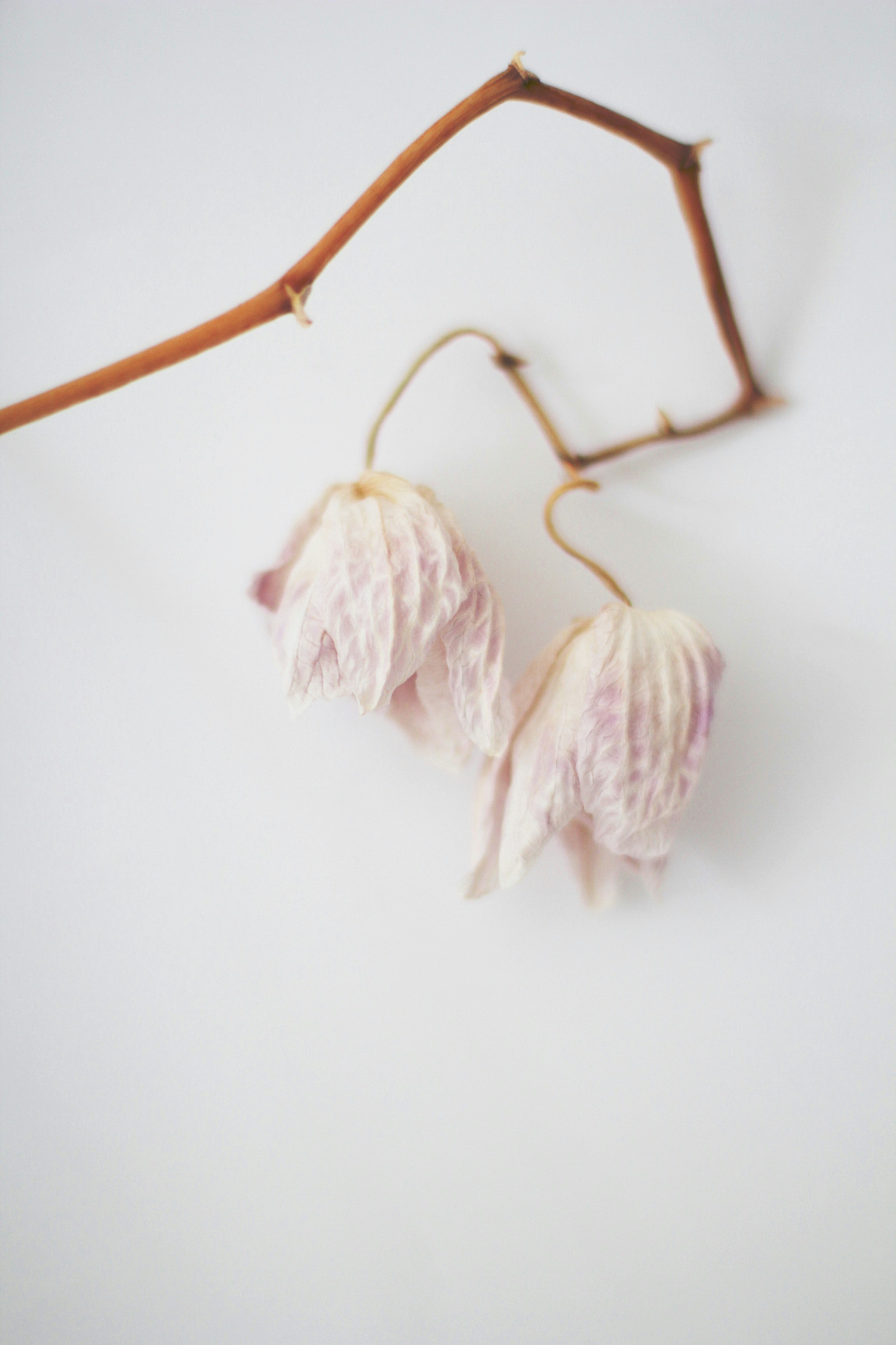 hilo blanco sobre superficie blanca