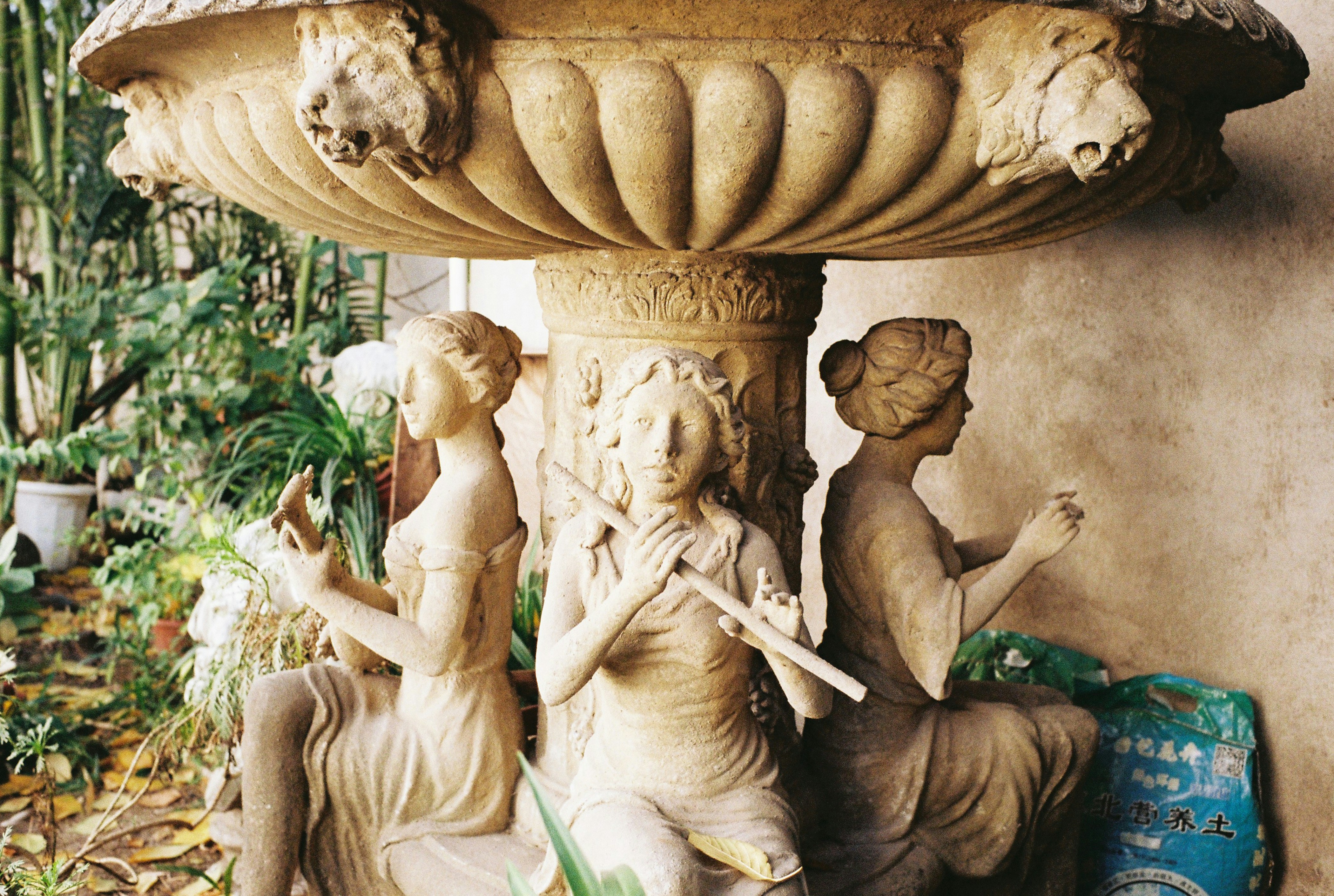 Photo by geraltyichen