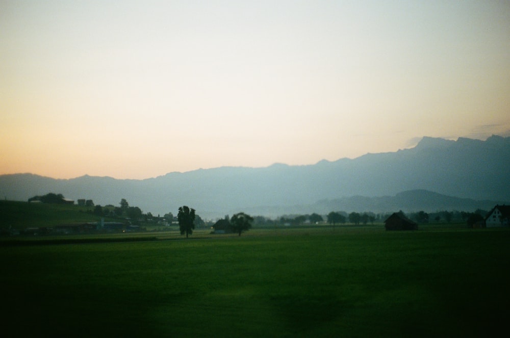 green grass field under white sky during daytime