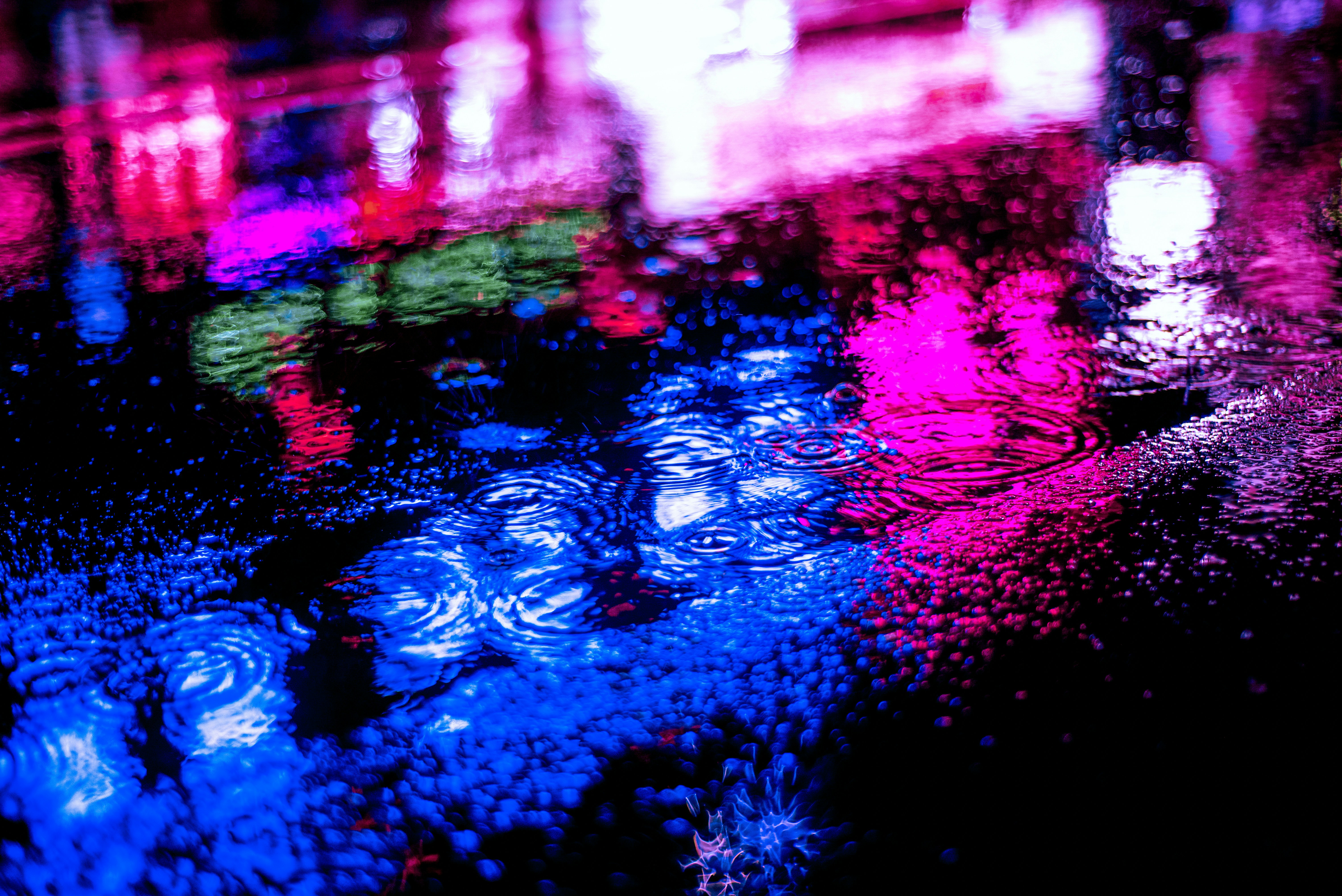 Love Earth Coin header image