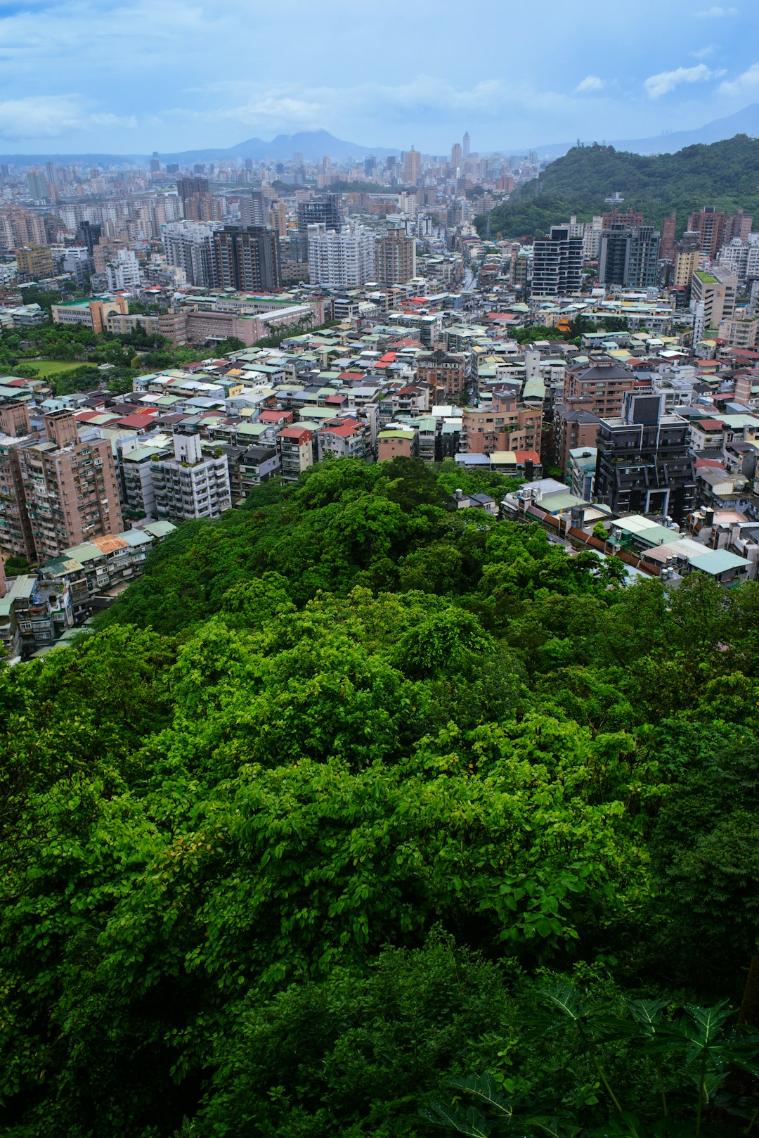 green trees and city buildings during daytime