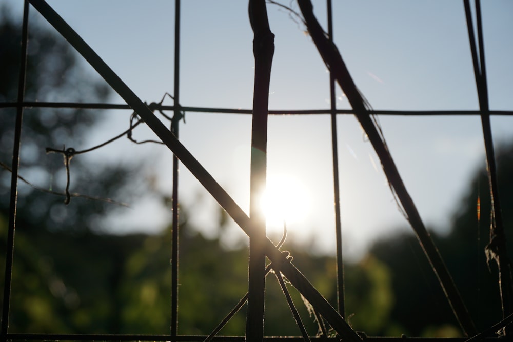 black metal wire fence during daytime