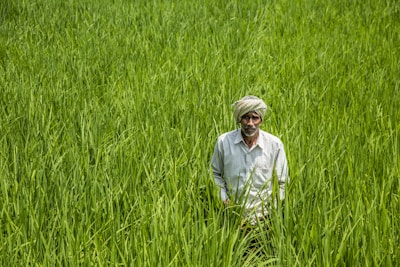 A man wearing a turban and a light-colored shirt stands amidst a lush, green field of tall grass or crops, suggesting an agricultural setting.
