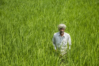 A man wearing a turban and a light-colored shirt stands amidst a lush, green field of tall grass or crops, suggesting an agricultural setting.