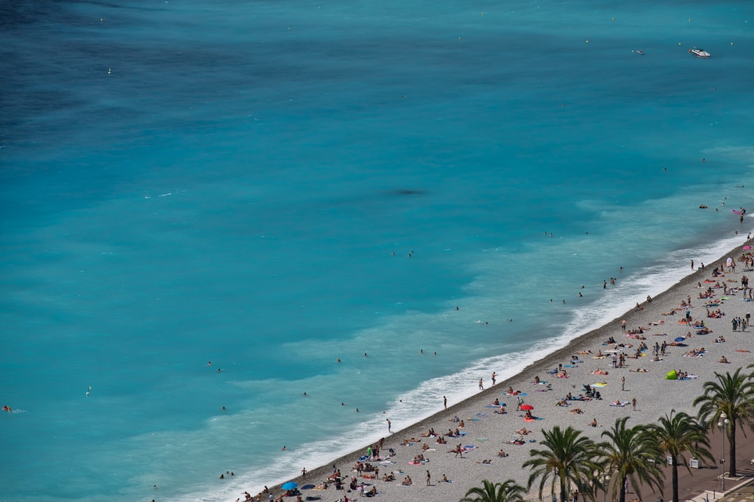 people on beach during daytime