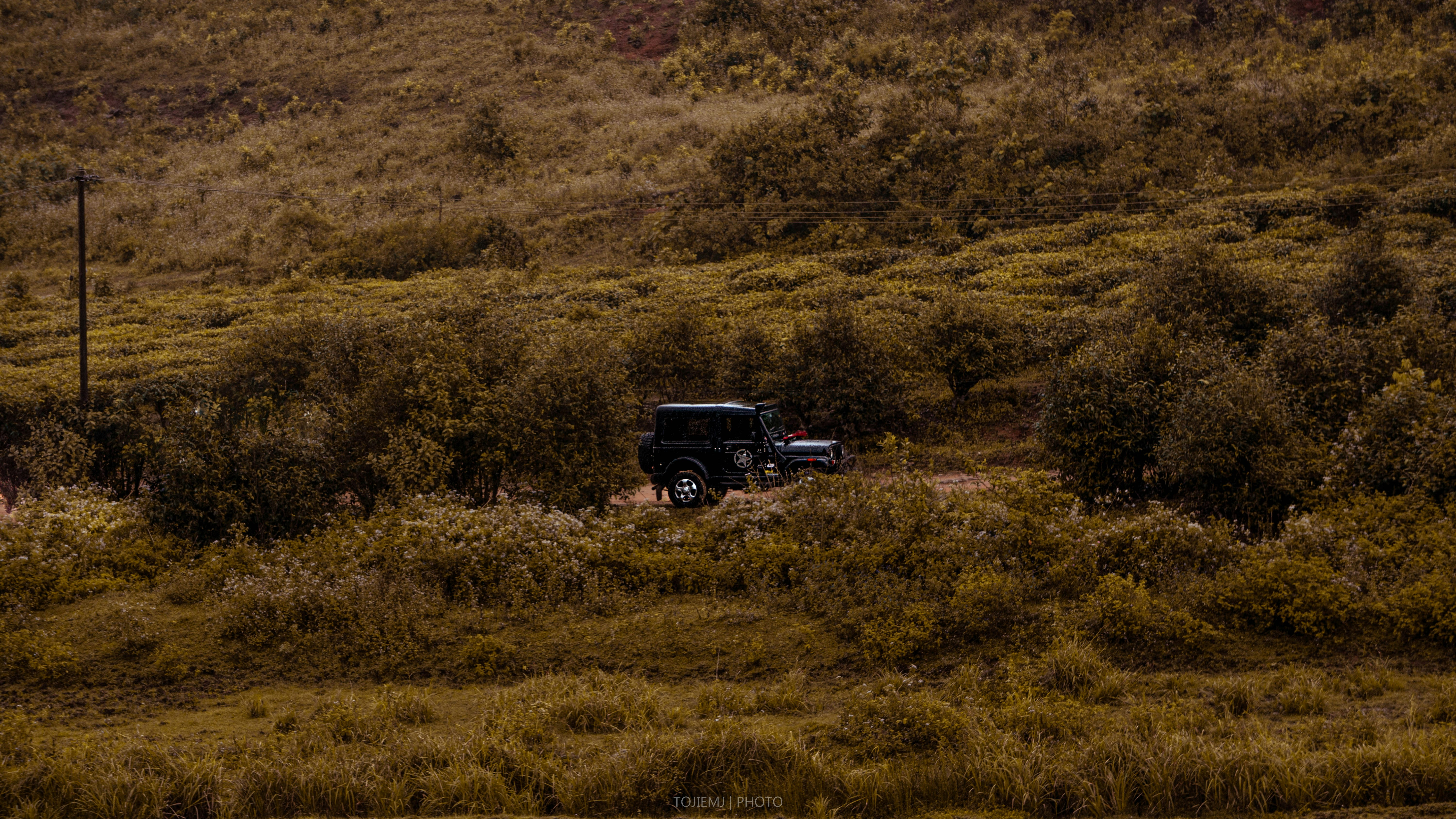 Photo by tojiemj
