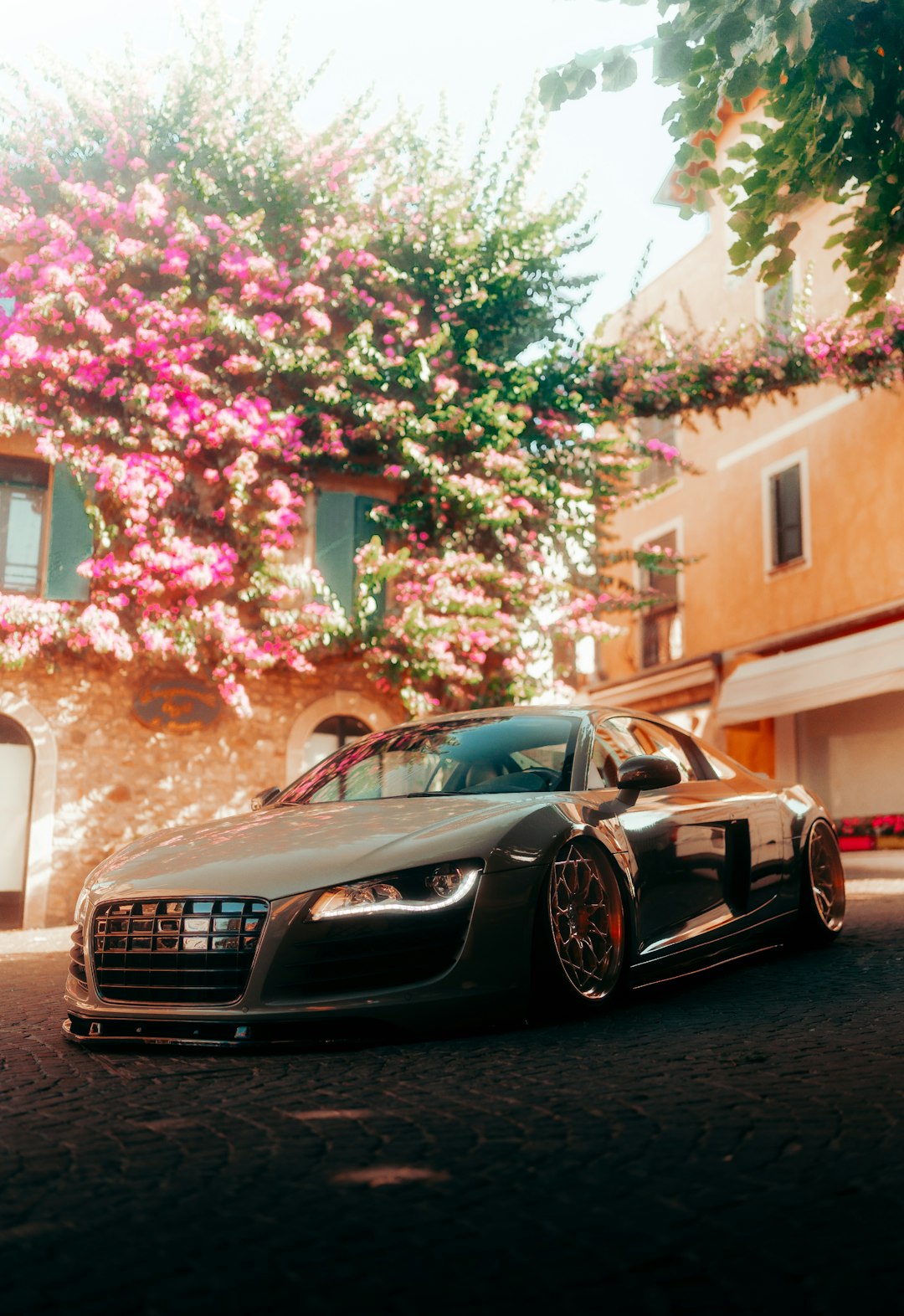 black bmw m 3 coupe parked near pink and white flower tree during daytime