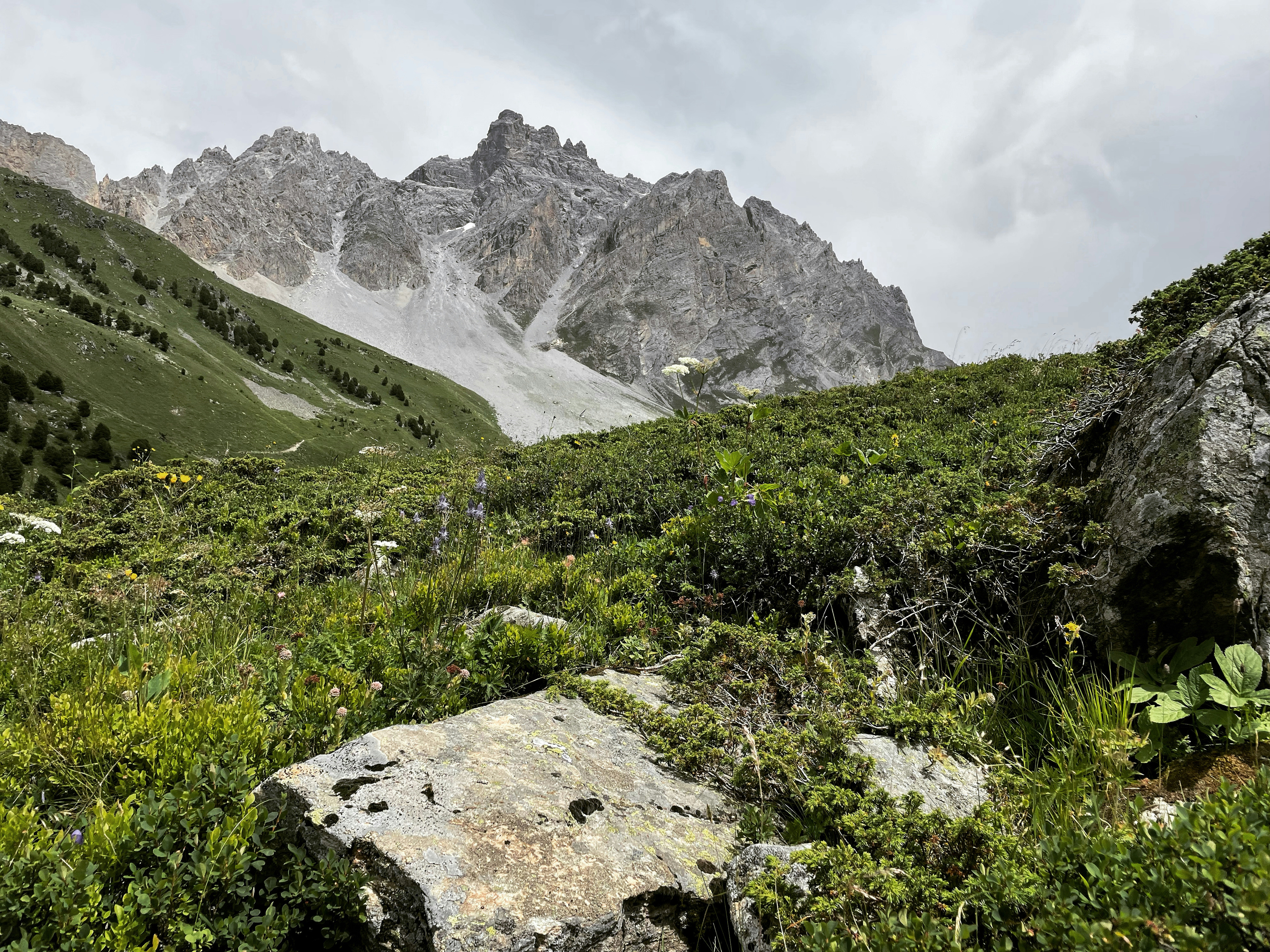 * Wild
* Summer
* Mountain
* Hike
* Alpes // French Alps
* Grateful