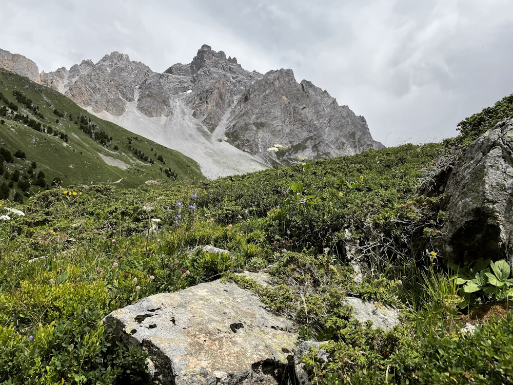 green grass and gray rocky mountain under white cloudy sky during daytime