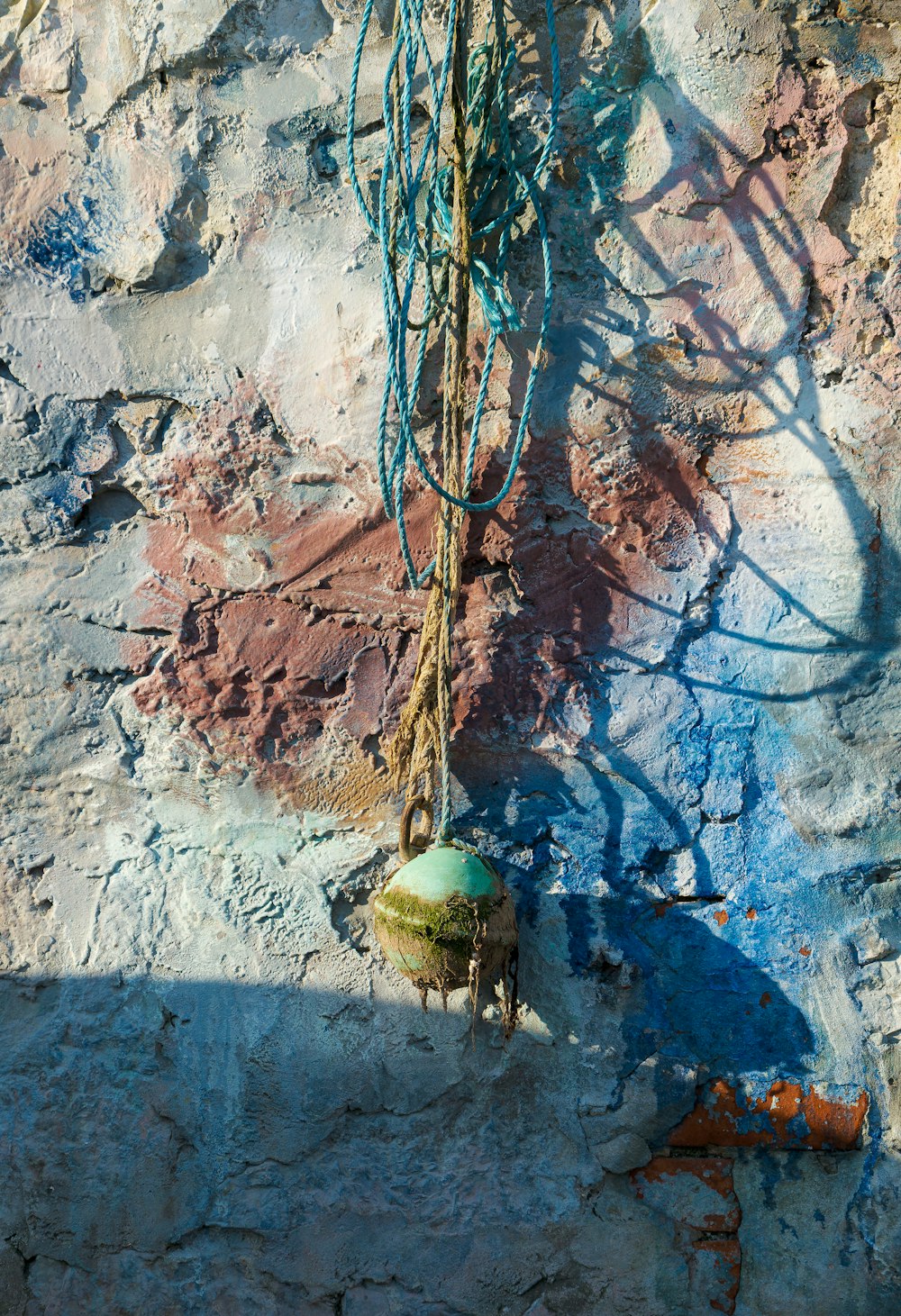 brown and green tree on white and brown concrete wall