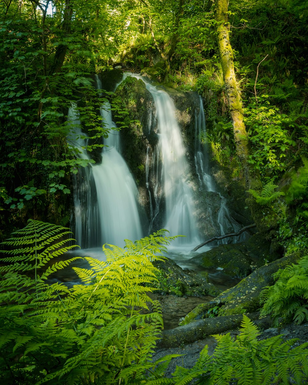 water falls in the middle of green moss covered rocks