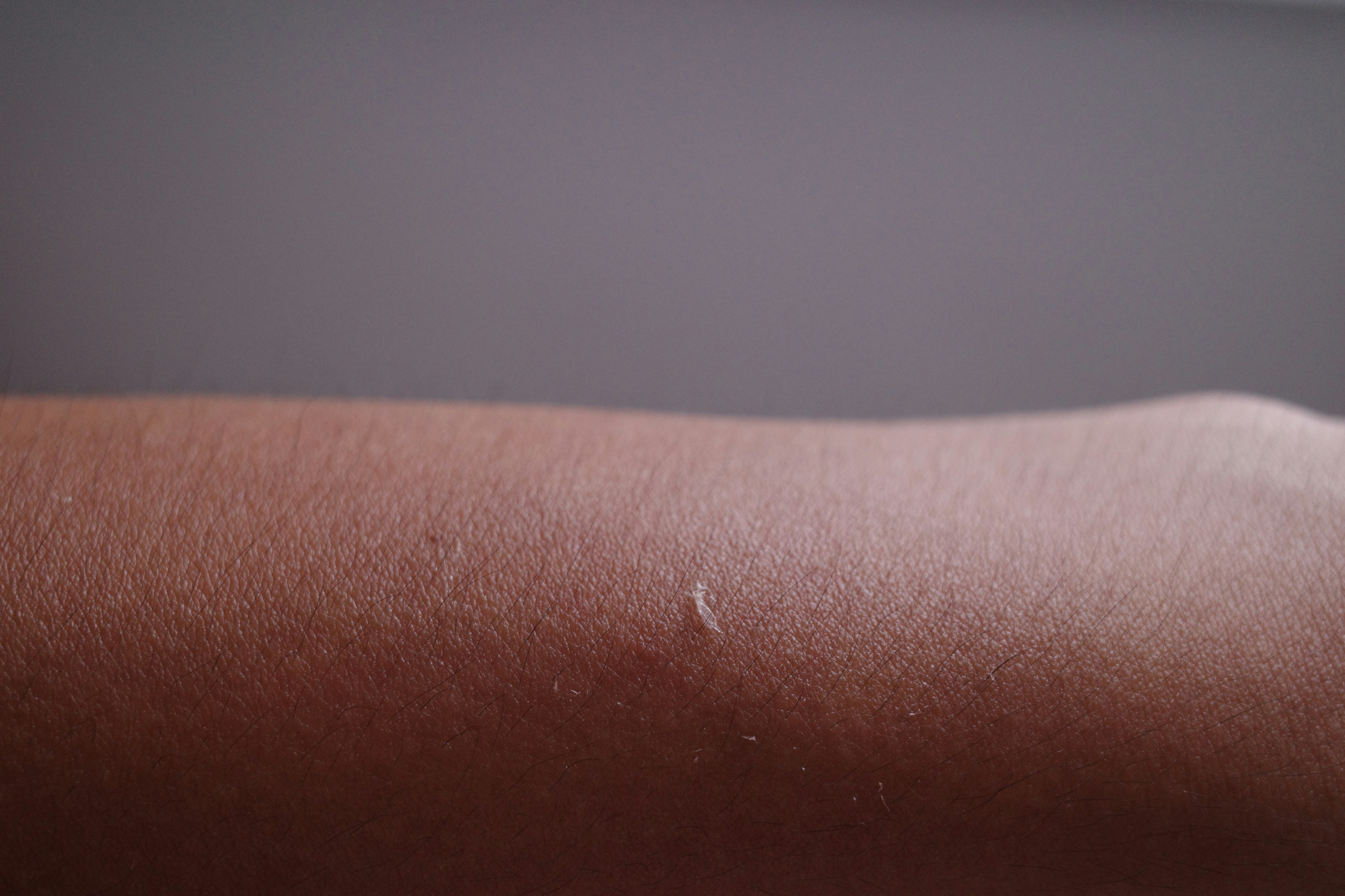 Purisaki Berberine Patch