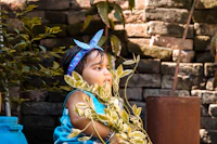 Most Historic Pubs in Muzaffarpur With Real Character and Good Stories