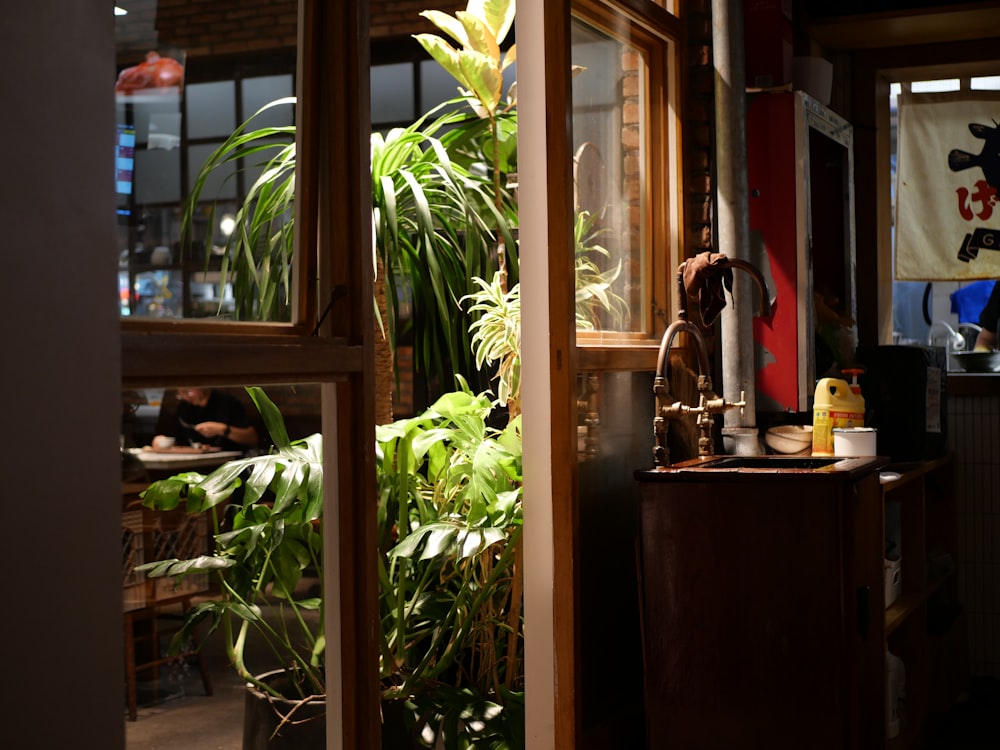 green plant on brown wooden table