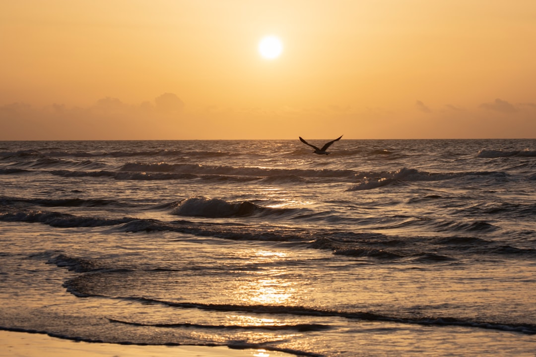 silhouette of person surfing on sea during sunset