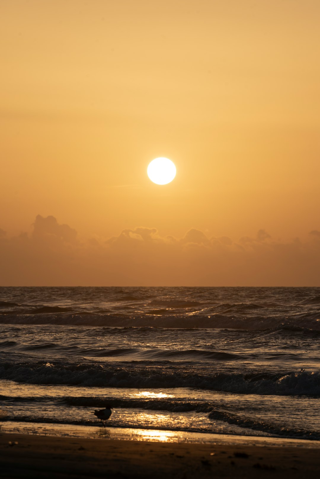 body of water during sunset