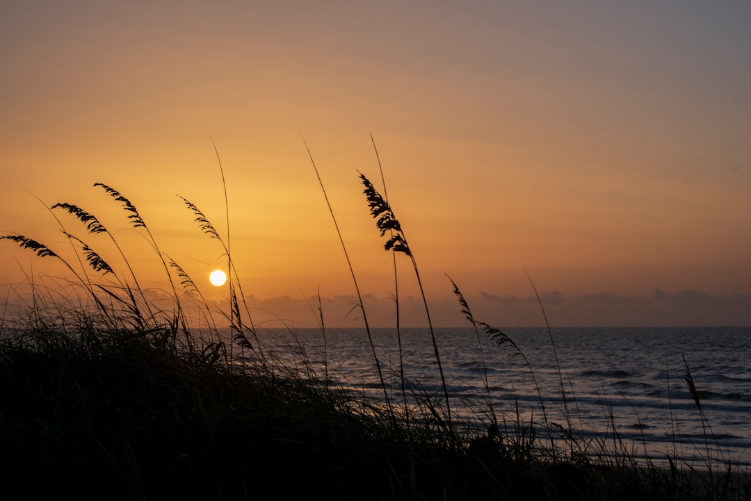 body of water during sunset