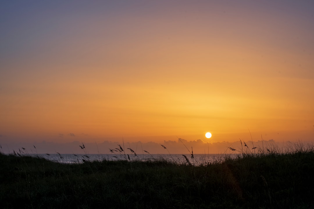 green grass field during sunset