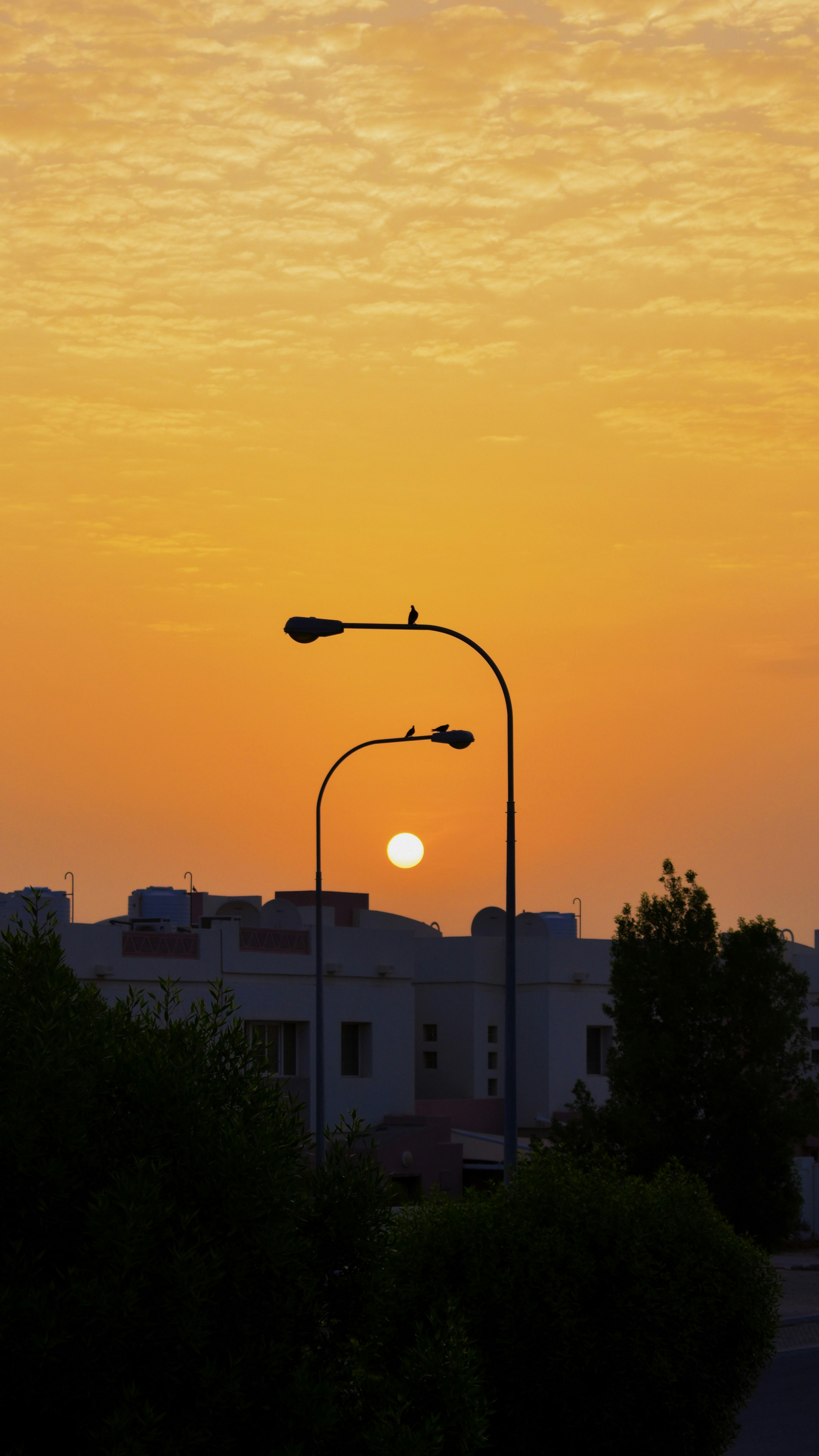 Photo by soumulsaman