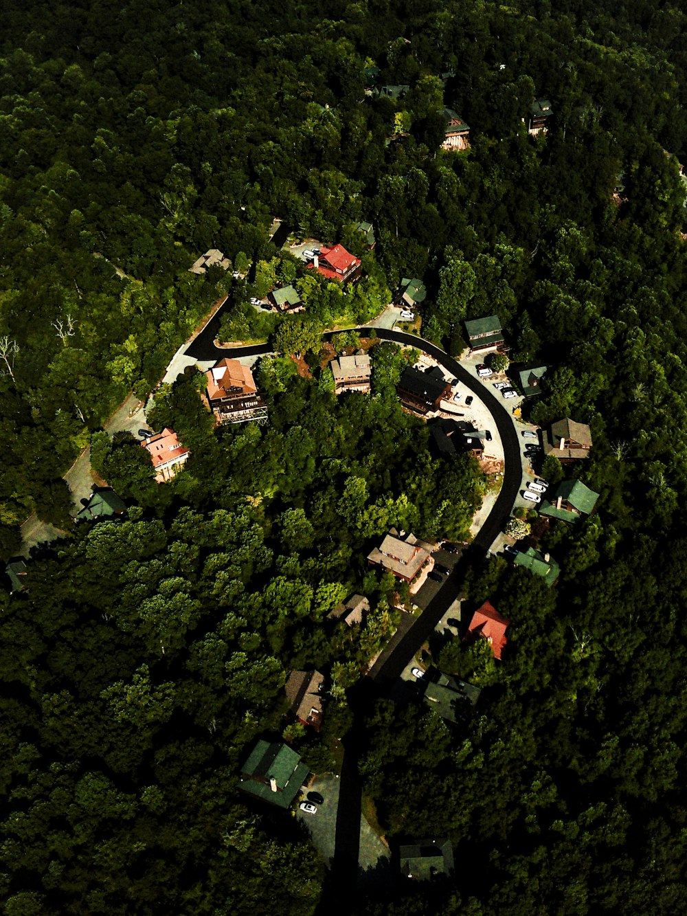 Vista aérea de casas y árboles