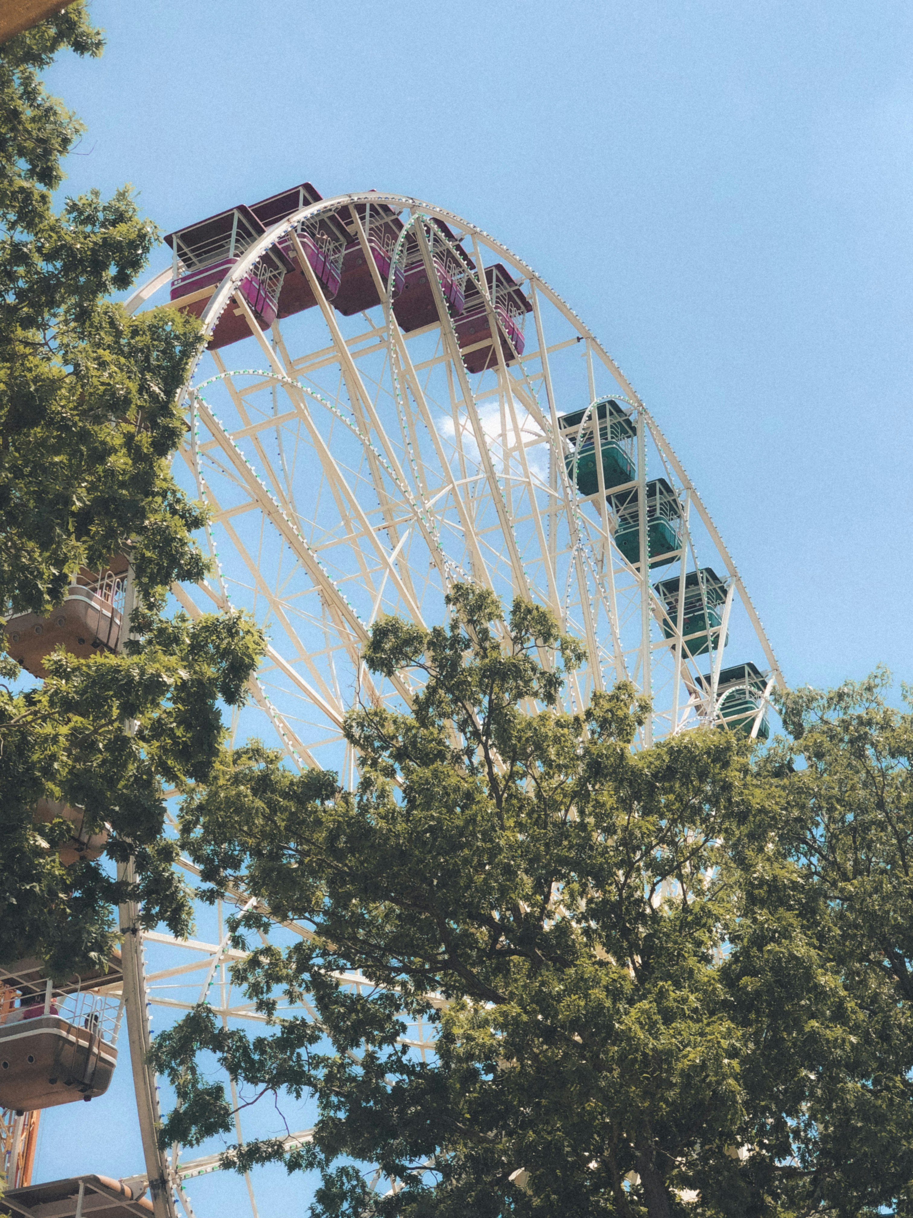 green trees near ferris wheel under blue sky during daytime