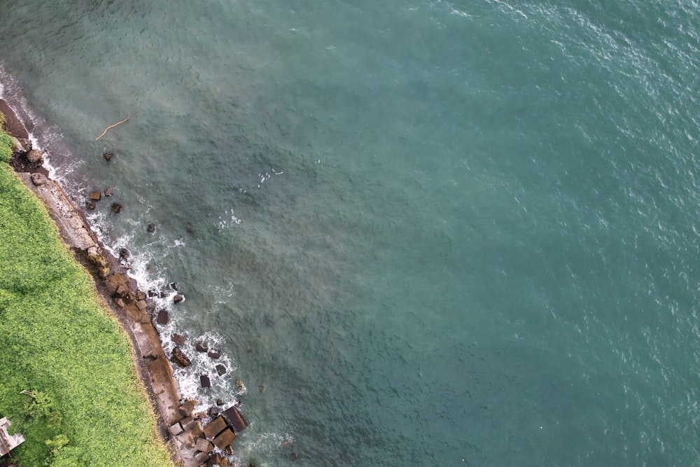 aerial view of green grass field beside body of water during daytime