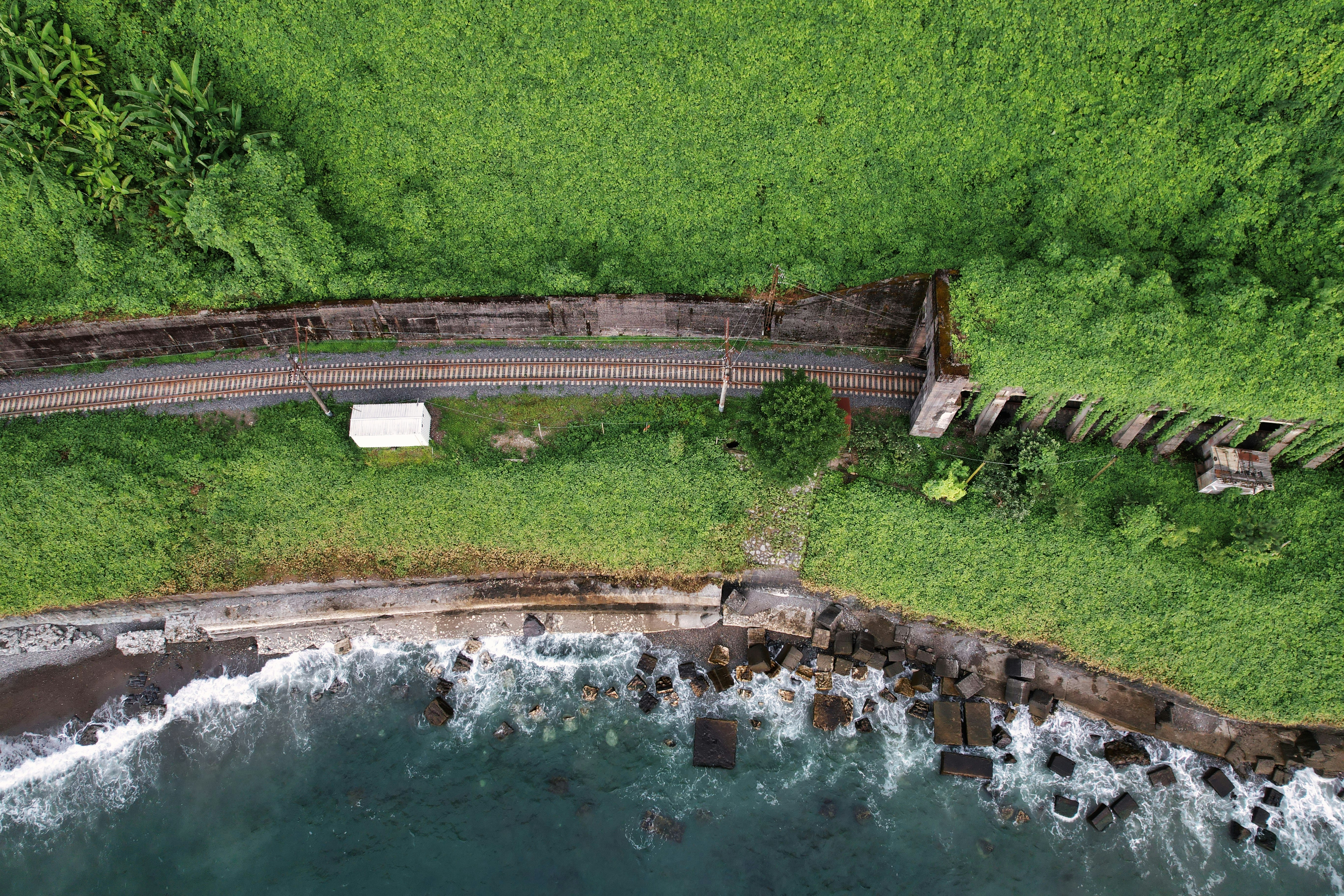 green grass field near body of water during daytime, 