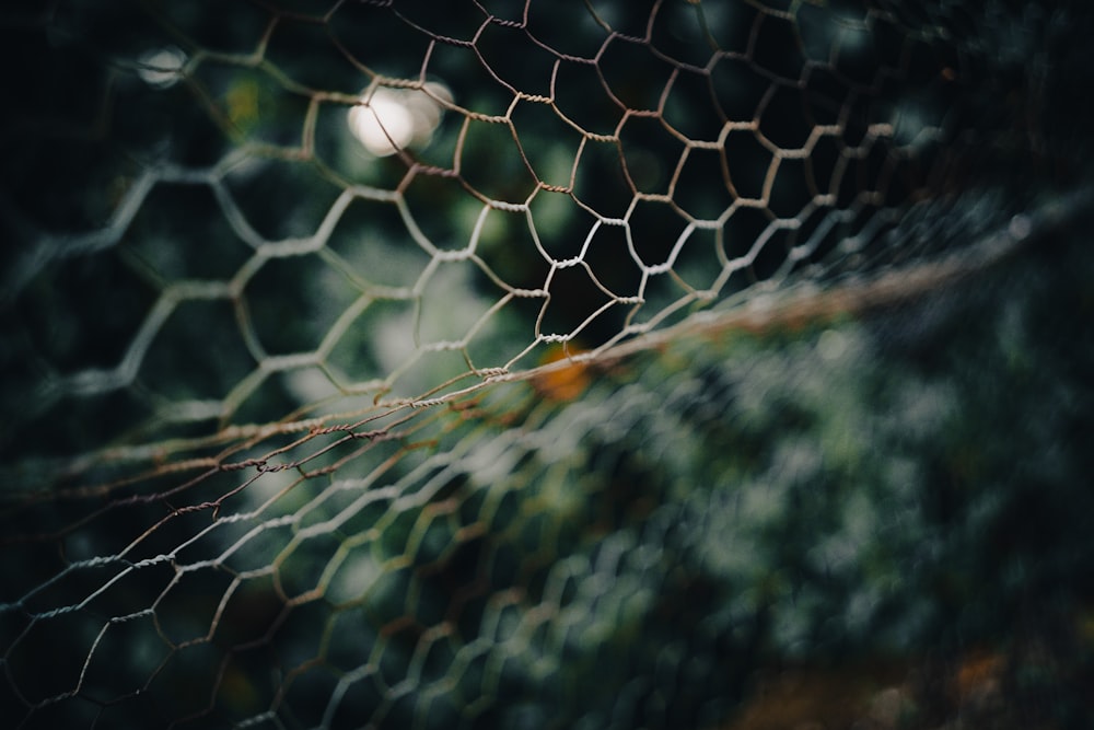 white and black net in close up photography