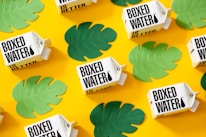 Several boxed water cartons are arranged on a bright yellow background. Green leaf cutouts are scattered around the cartons, creating a vibrant and eye-catching pattern.
